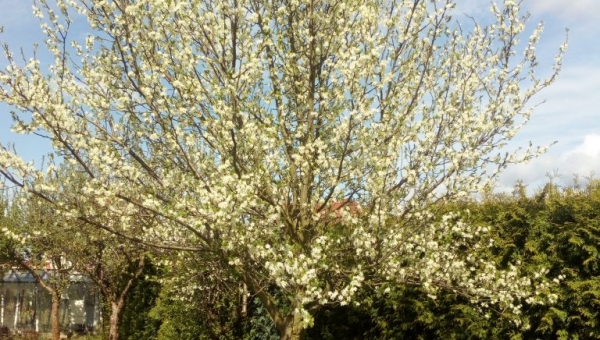 Seniorenwoche in Milow