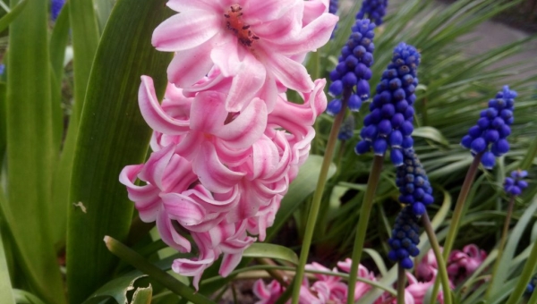 Fröhliche besinnliche Ostertage wünsche ich Ihnen und Danke für Ihr Vertrauen